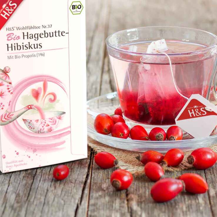 H&S Bio Hagebutte-Hibiskus Filterbeutel, 20X3.0 g