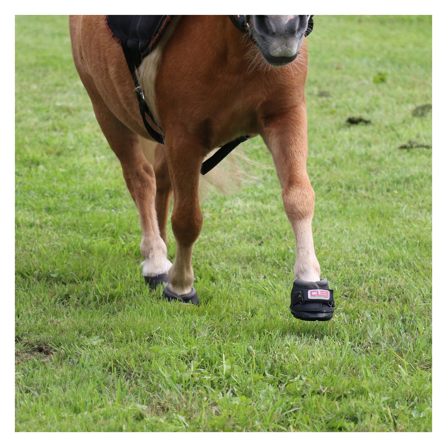 Cavallo Horse and Rider Hufschuh Cute Little Boot, für Shettys  - schwarz