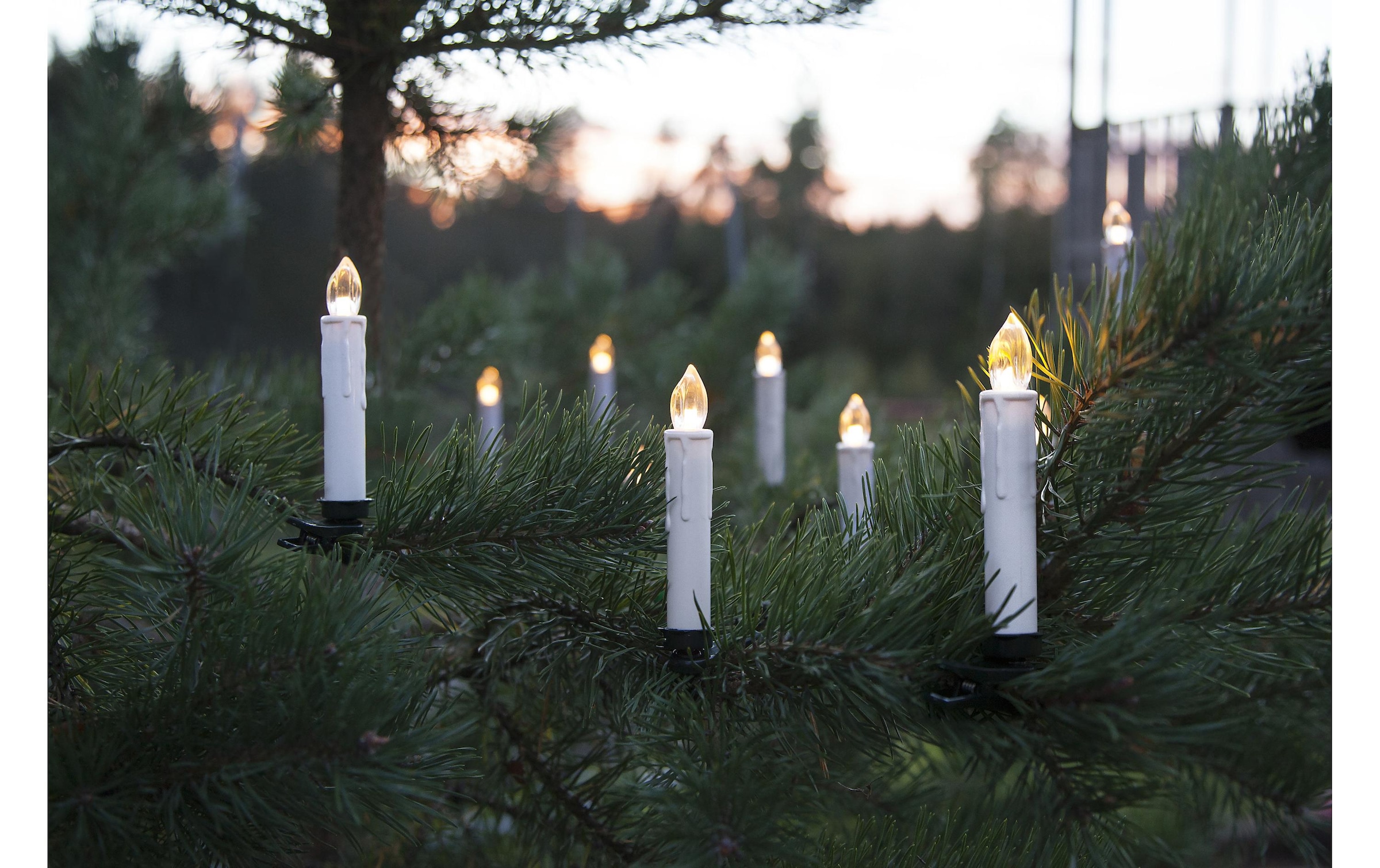 Parforce Traditional Hunting Christbaumkerzen »LED Baumkerze Wireless« 10 Stk.-flammig Fernbedienung im Lieferumfang enthalten