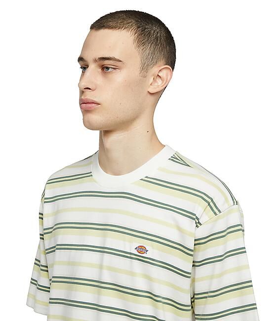 DICKIES - T-SHIRT MC GLADE SPRING TEE