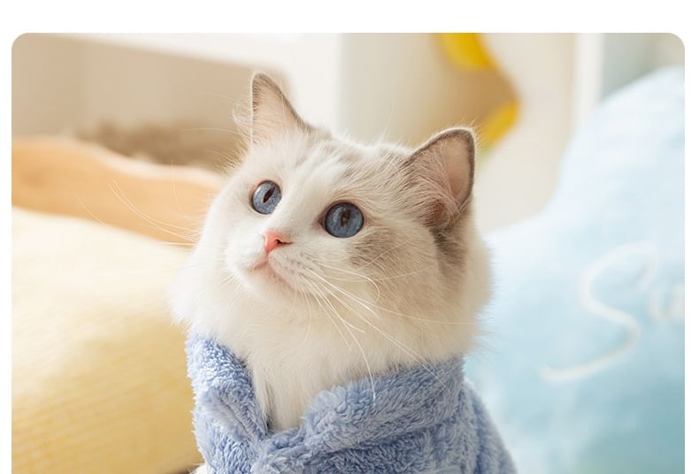 Cissilli - Animal Chenille Pet Top