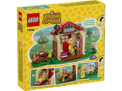 LEGO Goldies knusse huisje (77058)