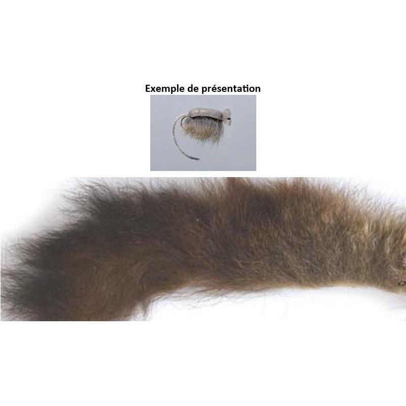 Queue D'opossum Australien Tof Morceau