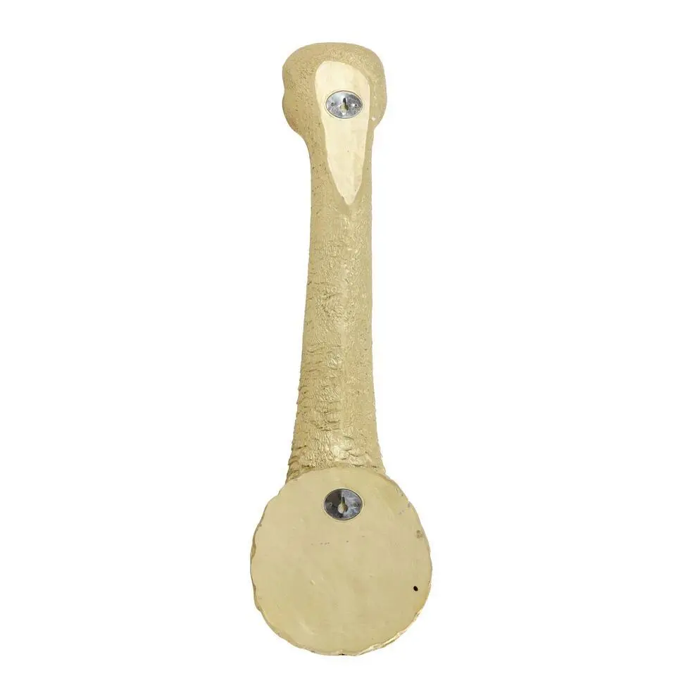 Wandlamp Ostrich - Goud - 25x19x72cm