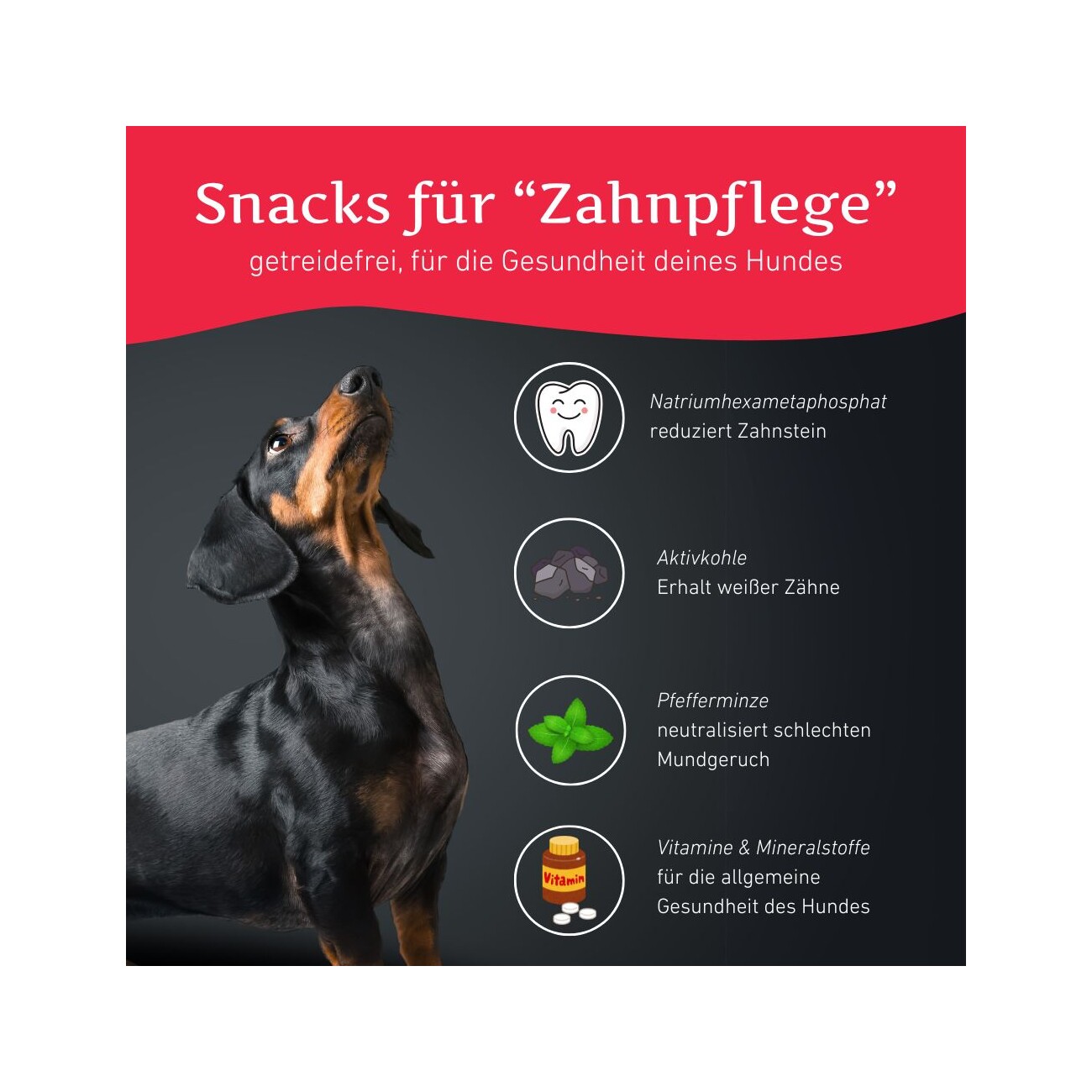Wildfang Zahnpflege Snacks - getreidefrei - 3 x 70 g