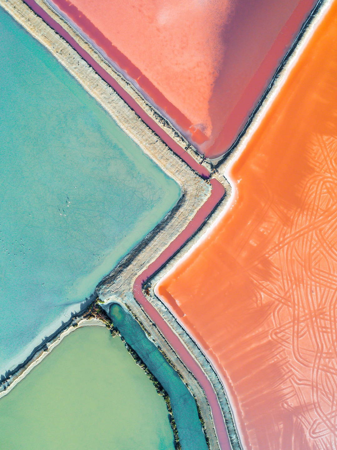 Salt Shapes II by Kevin Krautgartner - Limited Edition. Edition of: 150. Signed.