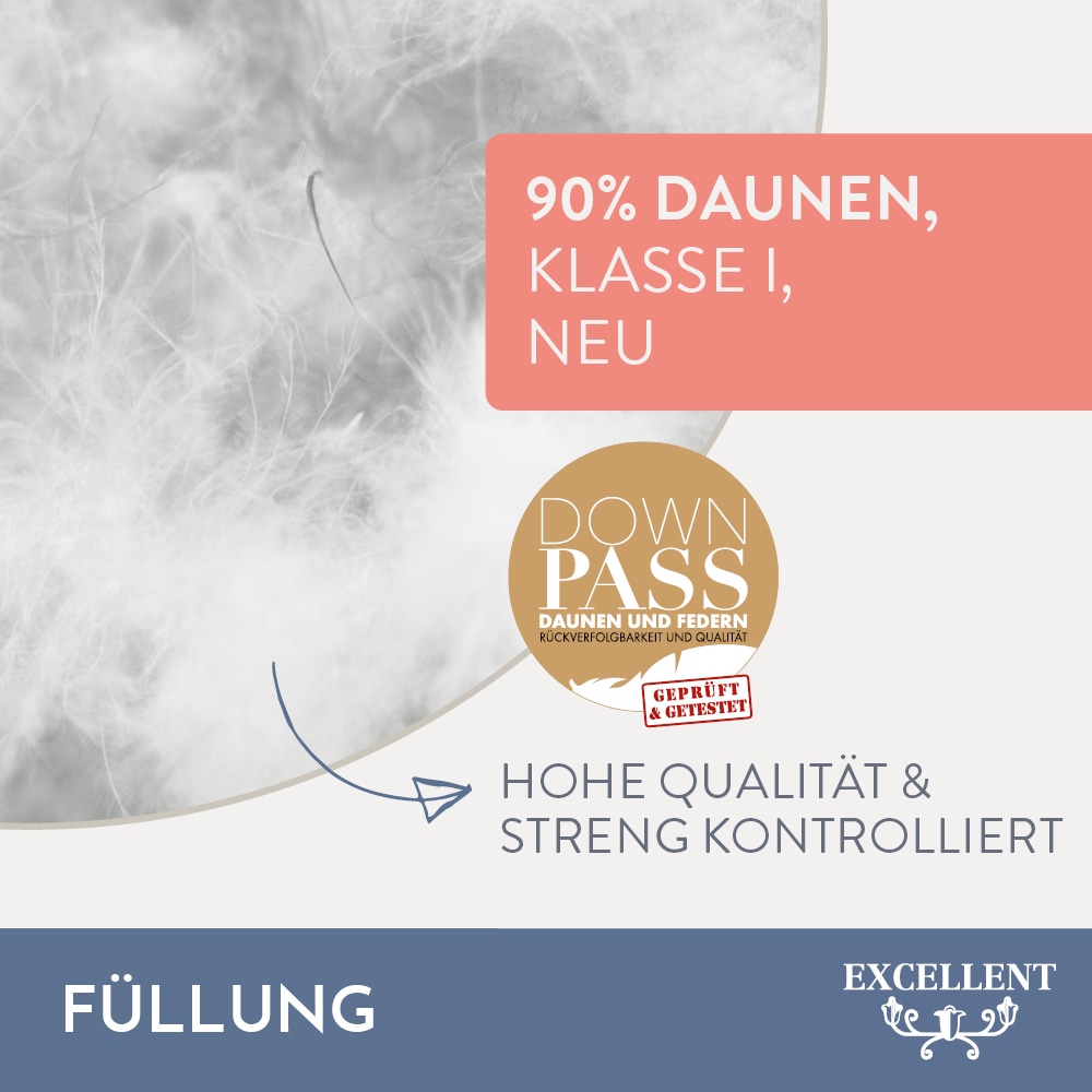Excellent Daunenbettdecke »Überraschungsbox« leicht Füllung 90Daunen10Federn Bezug Baumwolle 1 Stk. tlg. absoluter Sonderpreis, wegen Lagerräumung, Solange der Vorrat reicht