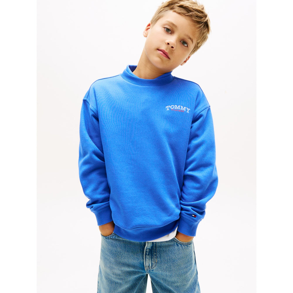 Køb Tommy Hilfiger Empire Blue Monotype Graphic Sweatshirt