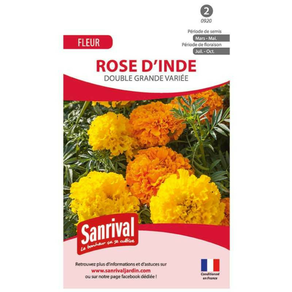 Graines de rose d'inde double