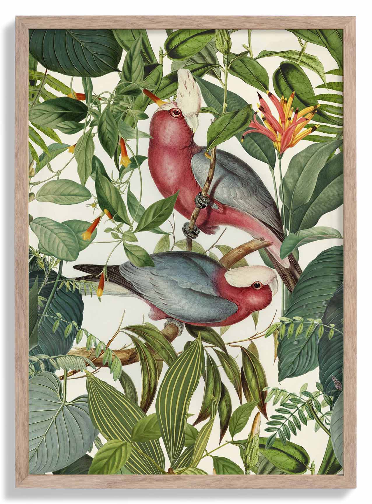 Tropische Sittiche von Andrea Haase