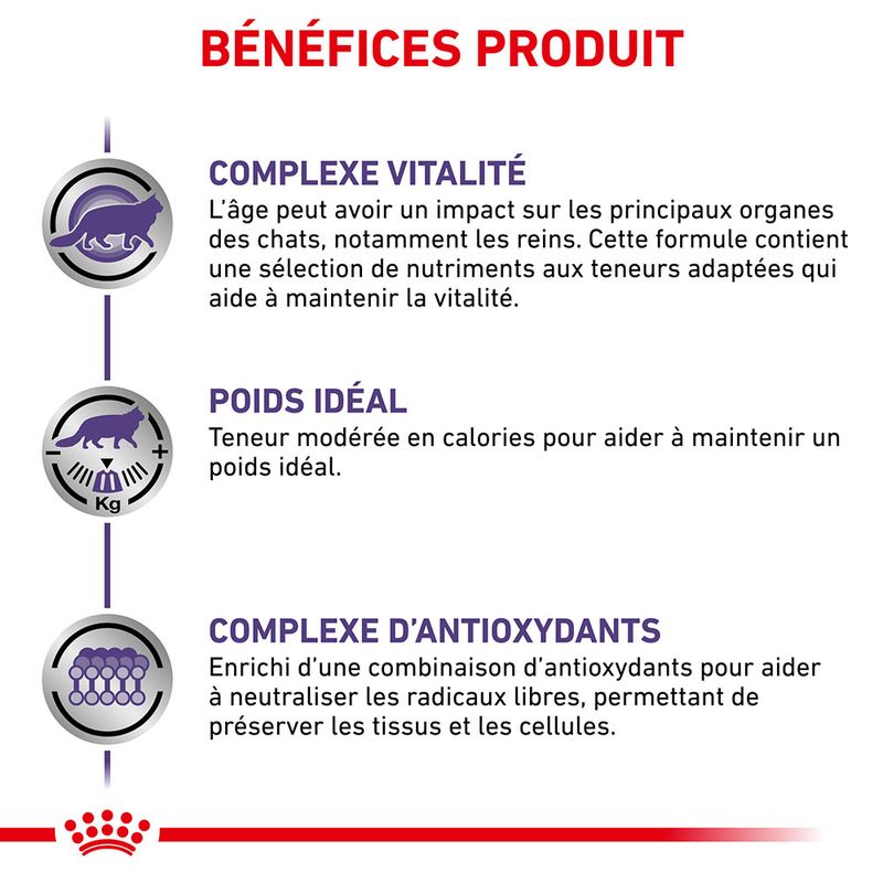 Royal Canin Expert Mature Consult Balance Mousse