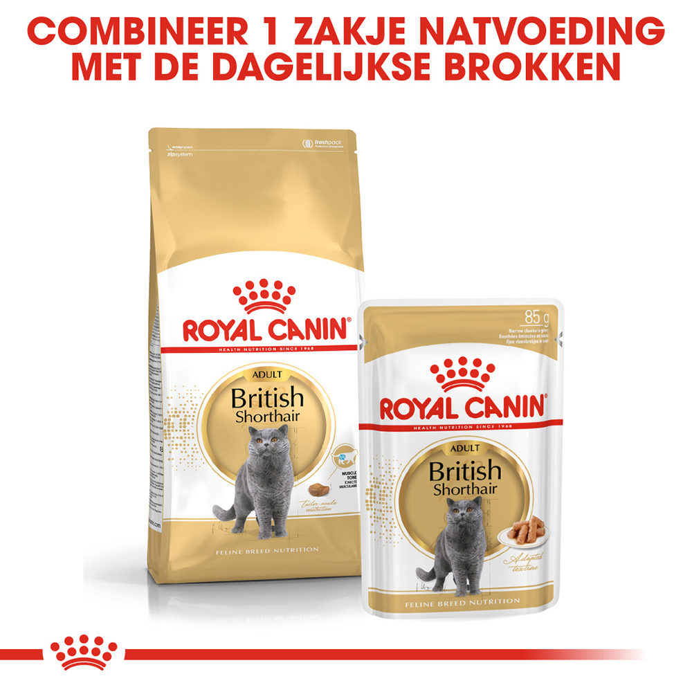 Royal Canin British Shorthair Adult - Kattenvoer