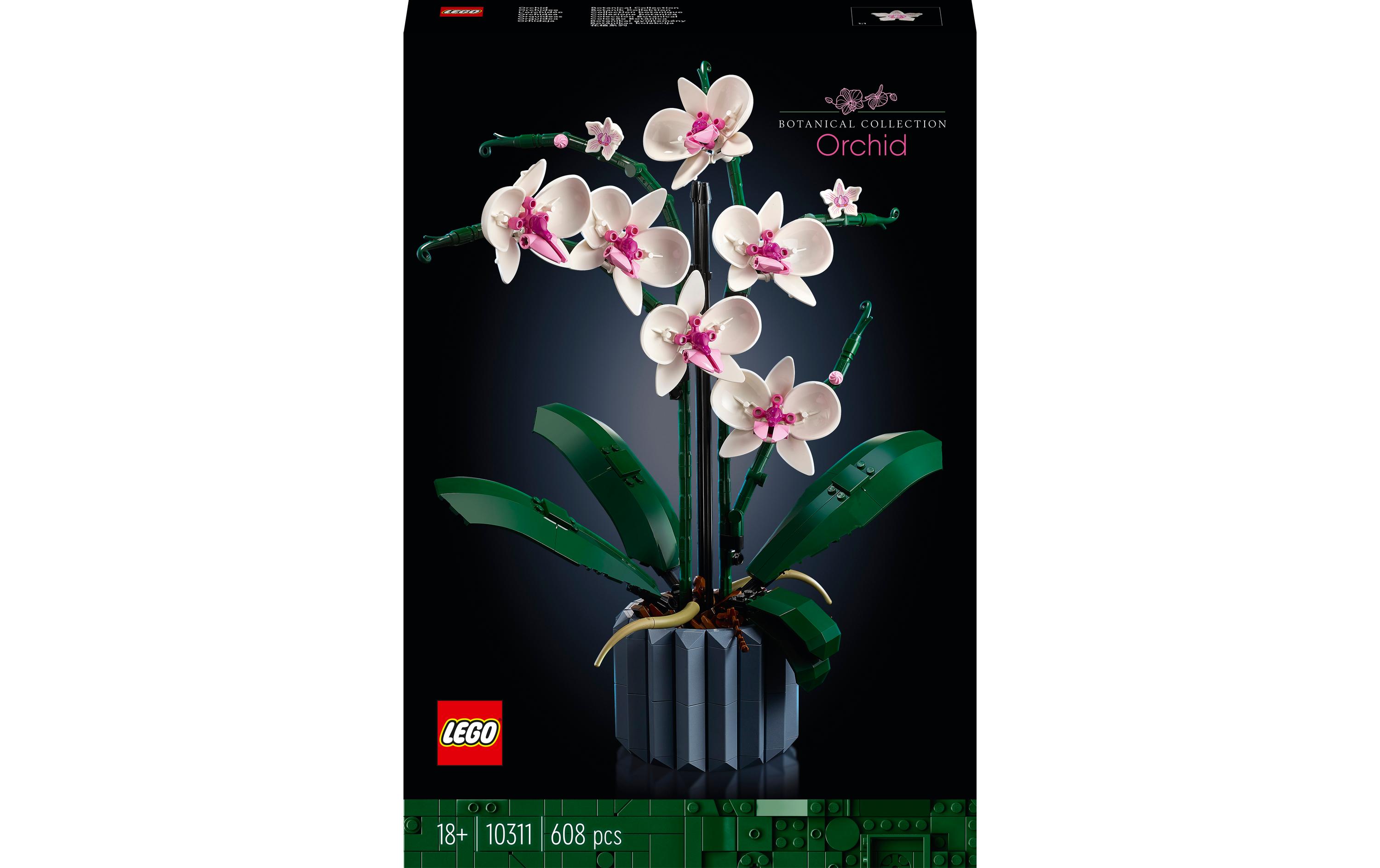 Icons Botanicals Collection: Orchidee 10311Individuell gestaltbares Modell