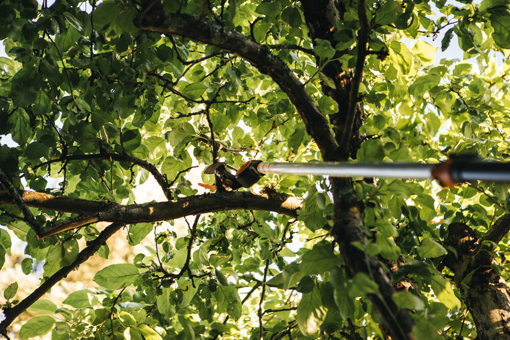Fiskars UPX82  - Snoei-giraffe - Reikwijdte ca. 3,5 Meter