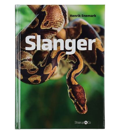 Straarup & Co Buch Sampak - Spiele & Lesen - Schlangen