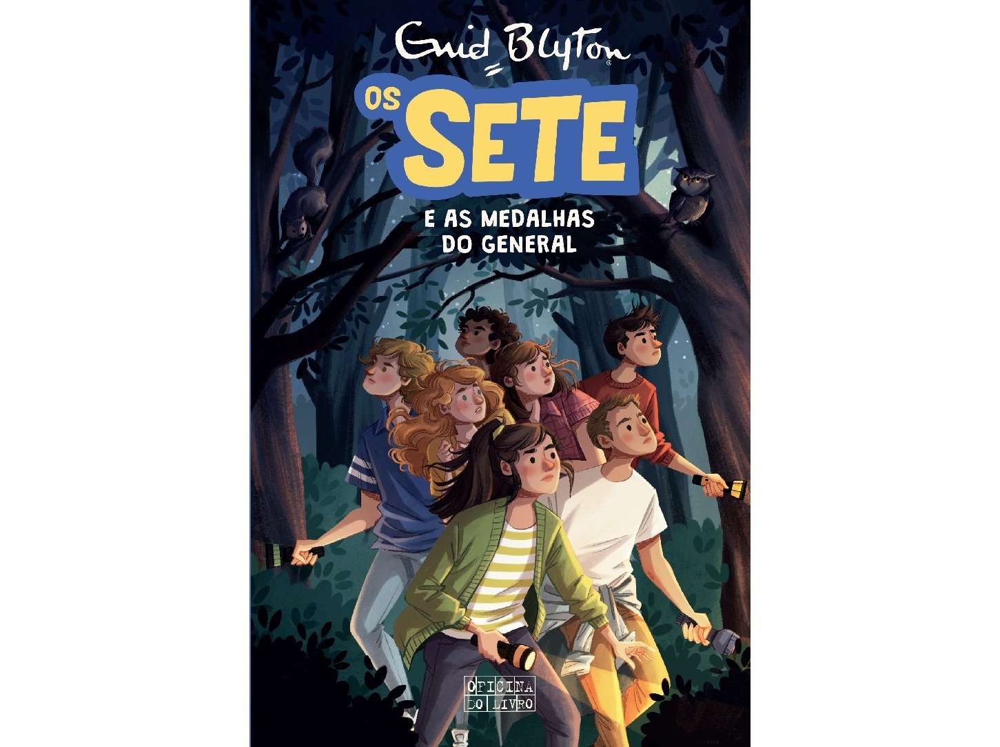 LIVRO OS SETE E AS MEDALHAS DO GENERAL DE ENID BLYTON