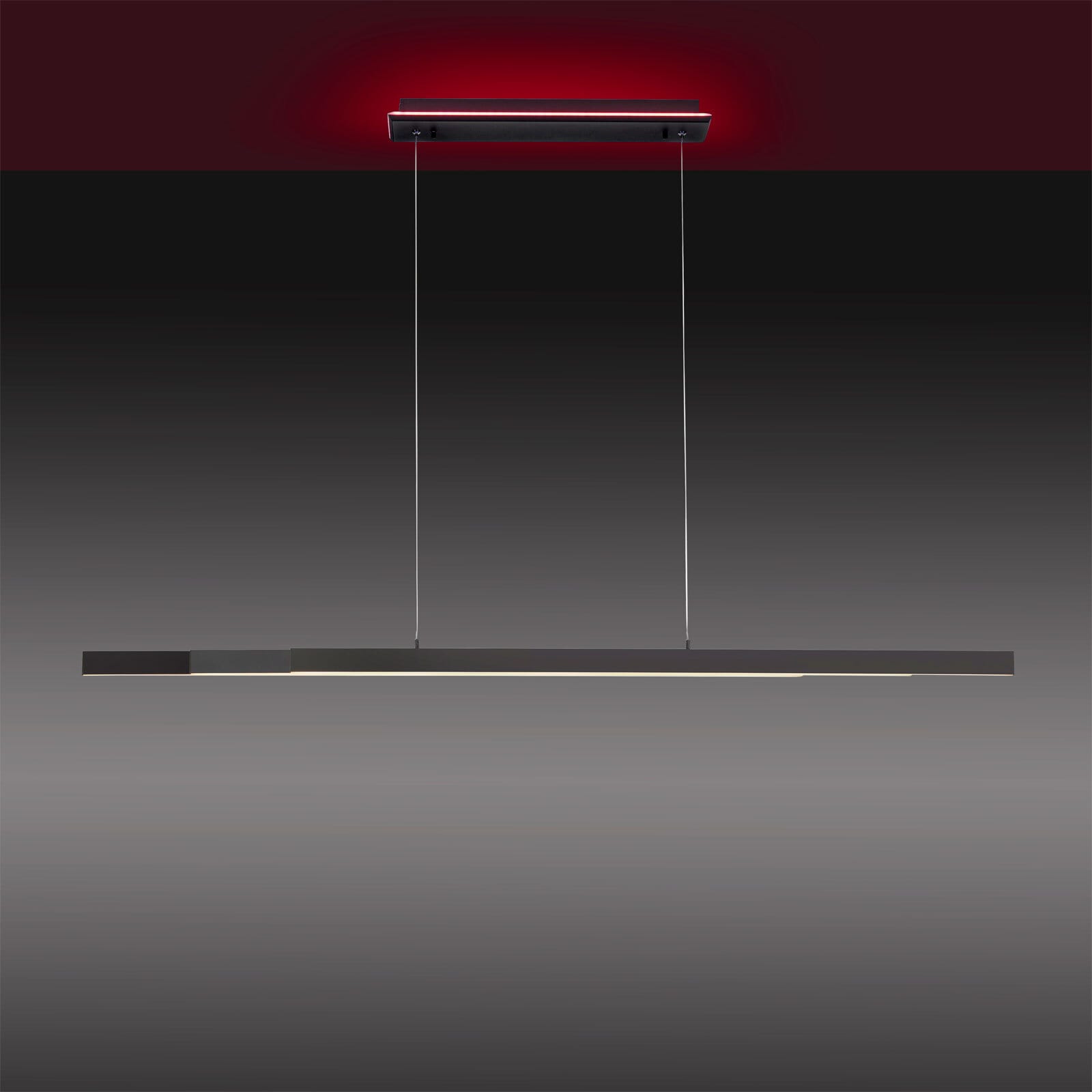 Paul Neuhaus LED Pendellampe Q-ARIAN 179 cm
