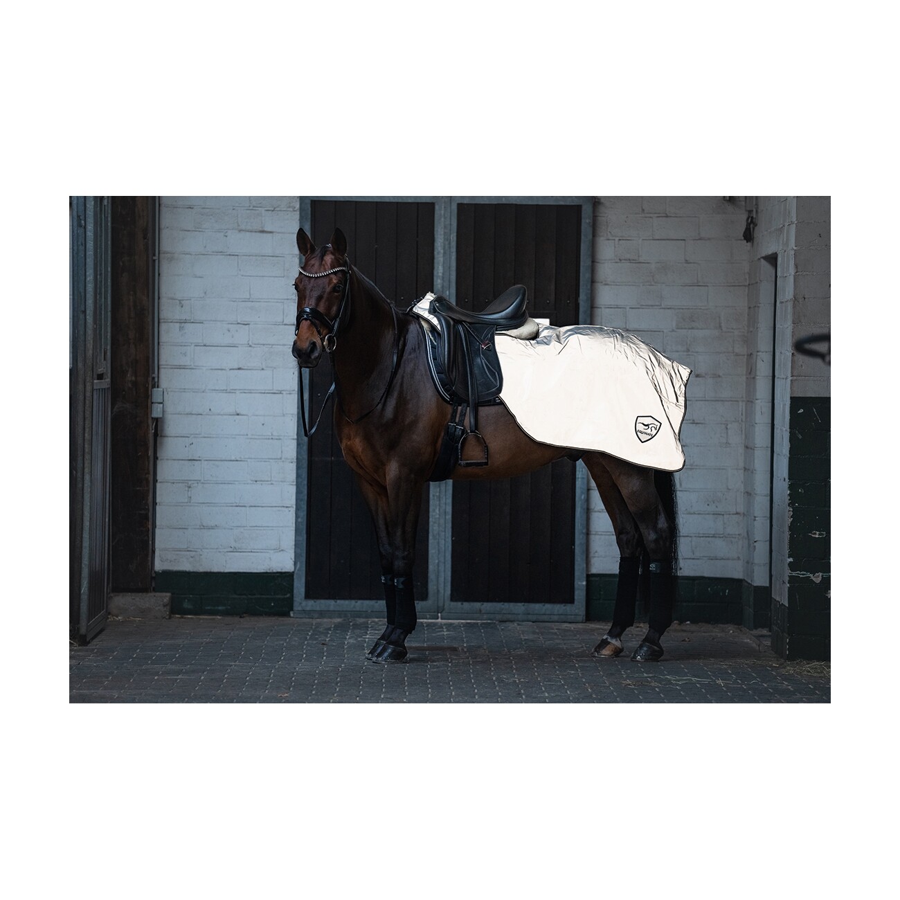 Equinate reflektierende Ausreitdecke Xtreme-Visible wasserdicht mit Fleeceinnenfutter 1,45 m