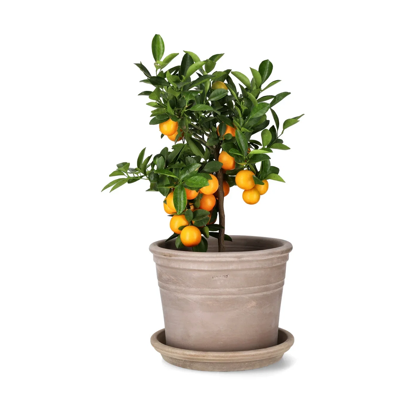 Fat Mastello Ø25 cm