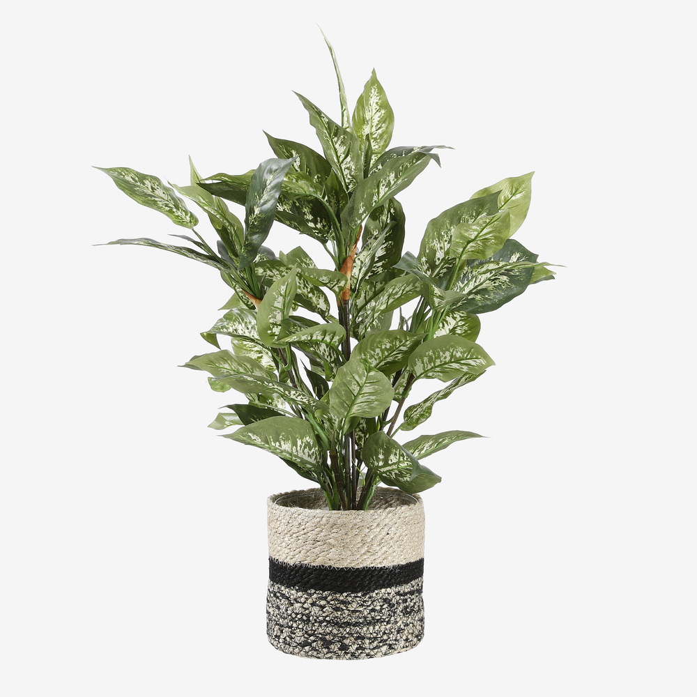 Mica decorations - dieffenbachia artificielle vert en pot h70