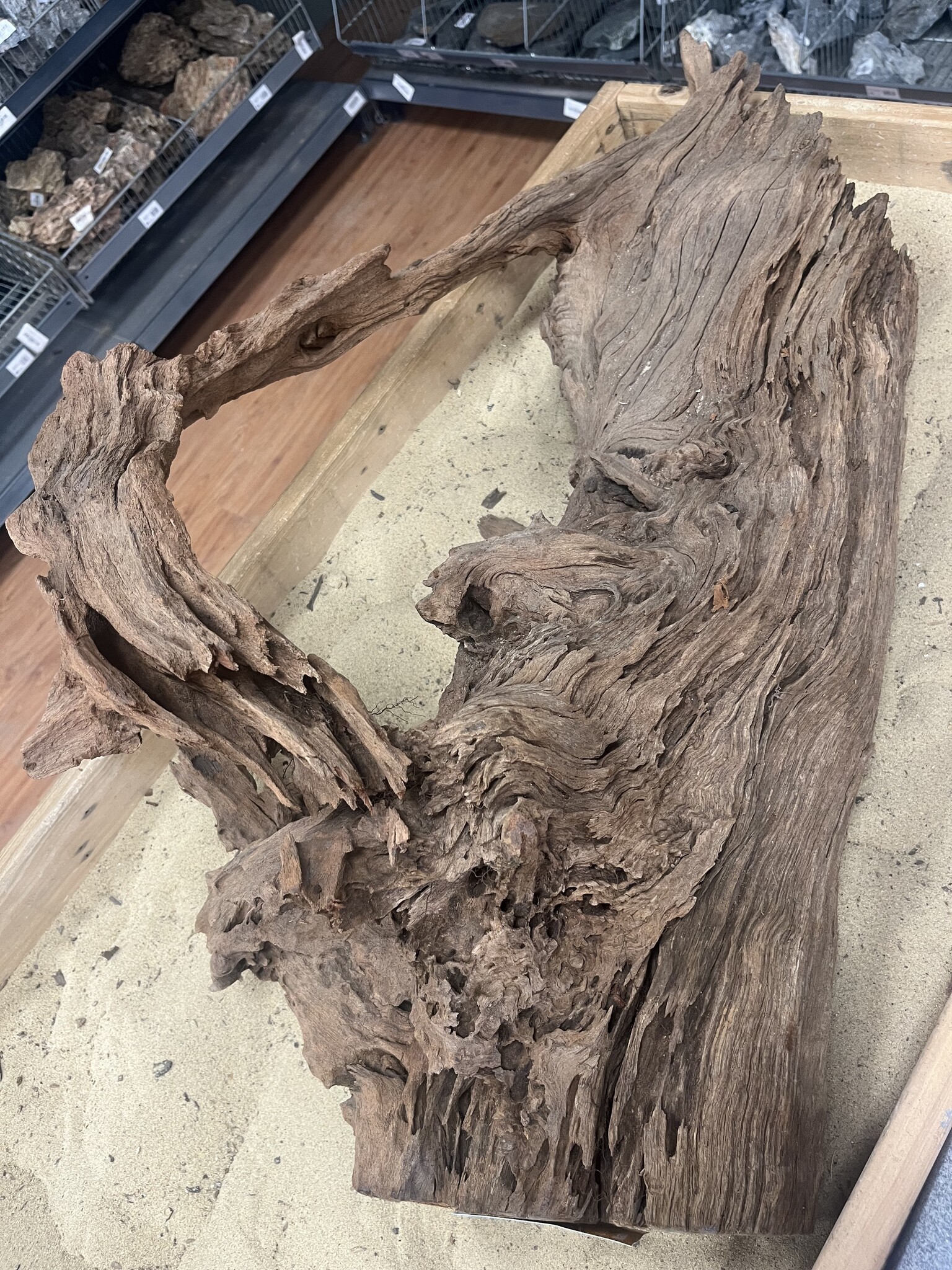 AQXL Selected Mangrovehout XL E 70-90cm
