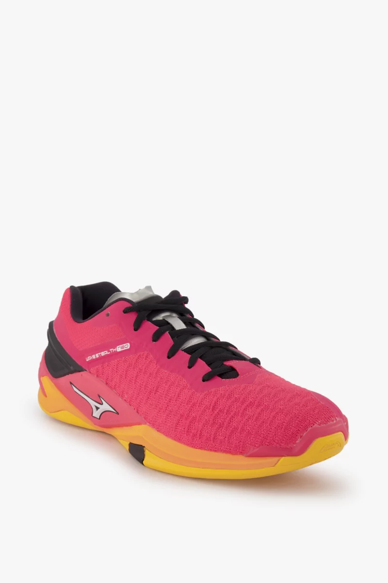 Mizuno Wave Stealth Neo Herren Hallenschuh