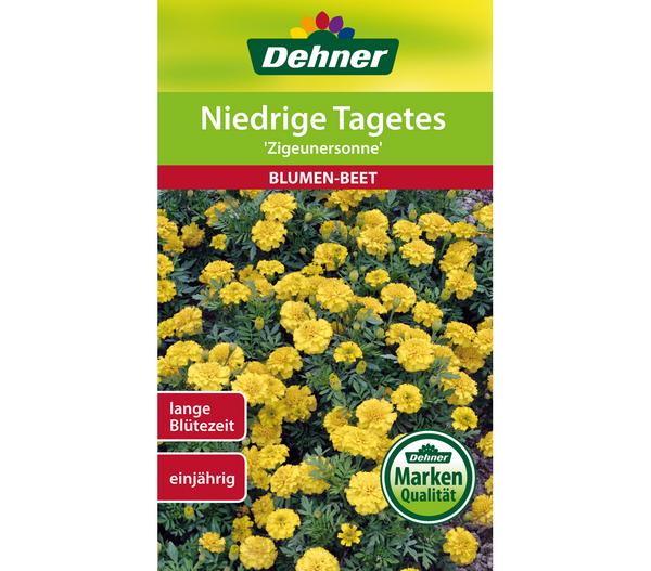 Dehner Samen für Niedrige Tagetes