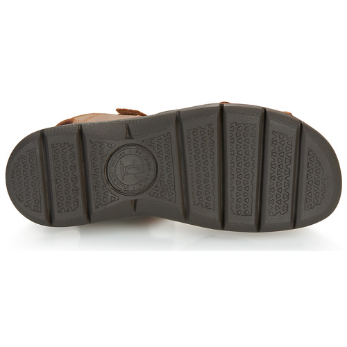 Panama Jack - SANDERS BASICS C4 - Cuir