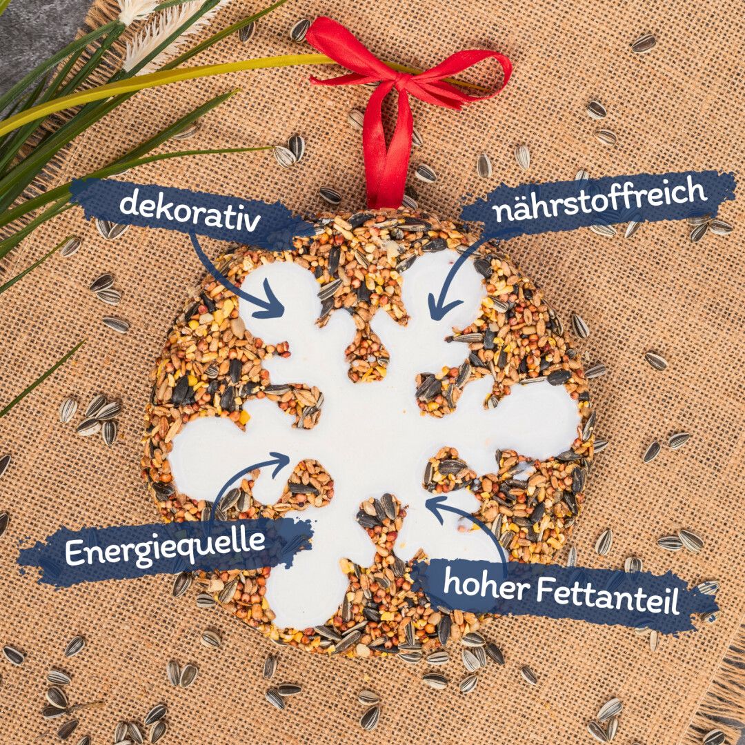 Lyra Pet® Vogelkuchen