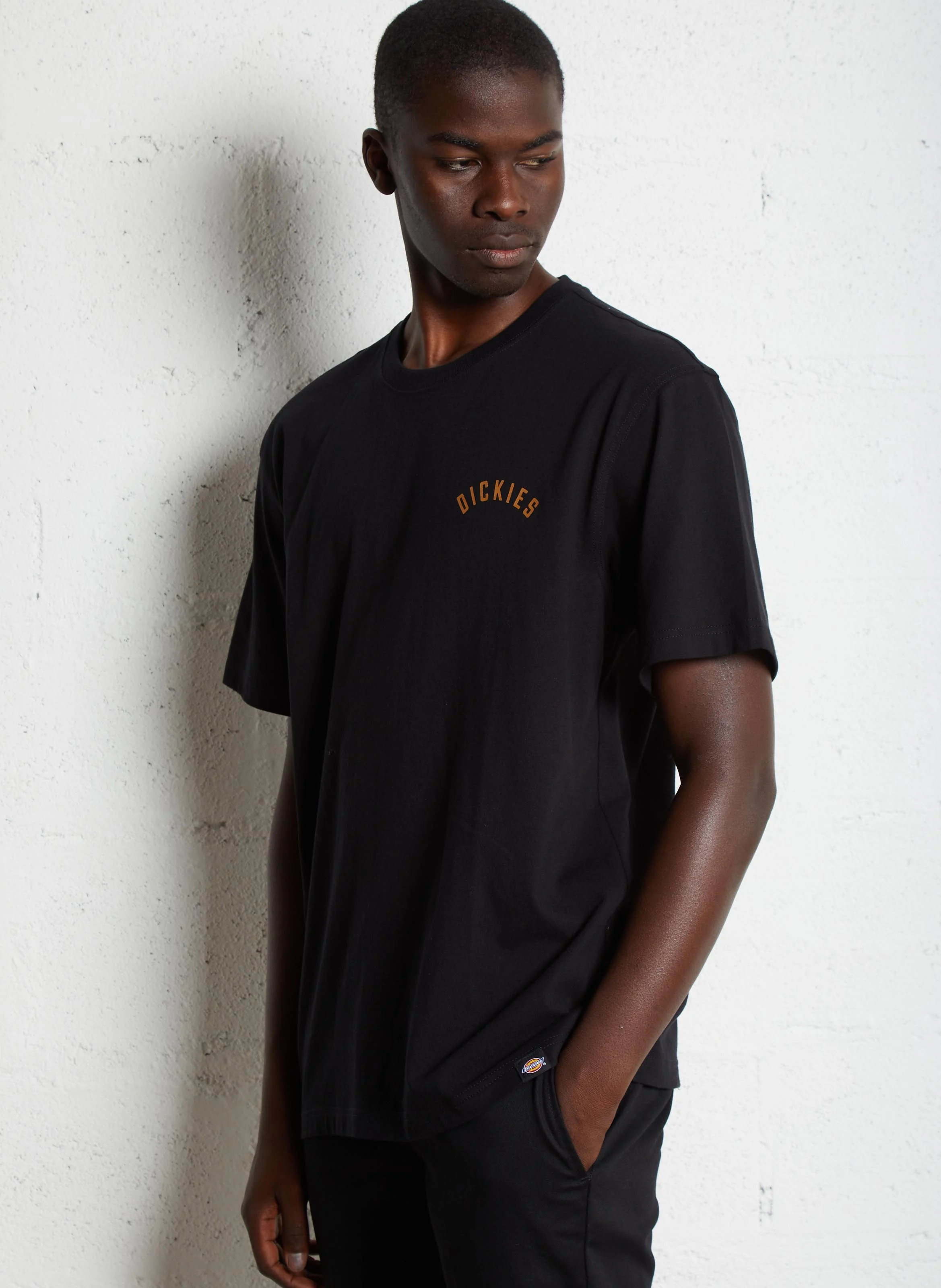 DICKIES PANTHER - Tee-shirt droit col rond en coton | Noir