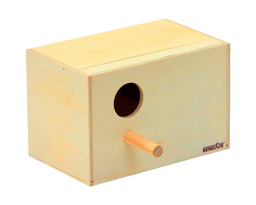 Nid en bois inséparables