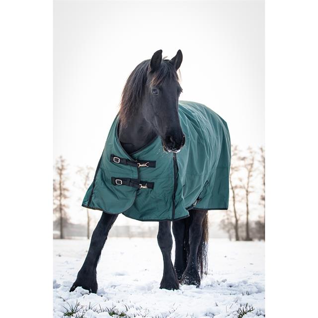 Deken HORSEGEAR HGExtreme 200gr Donkergroen