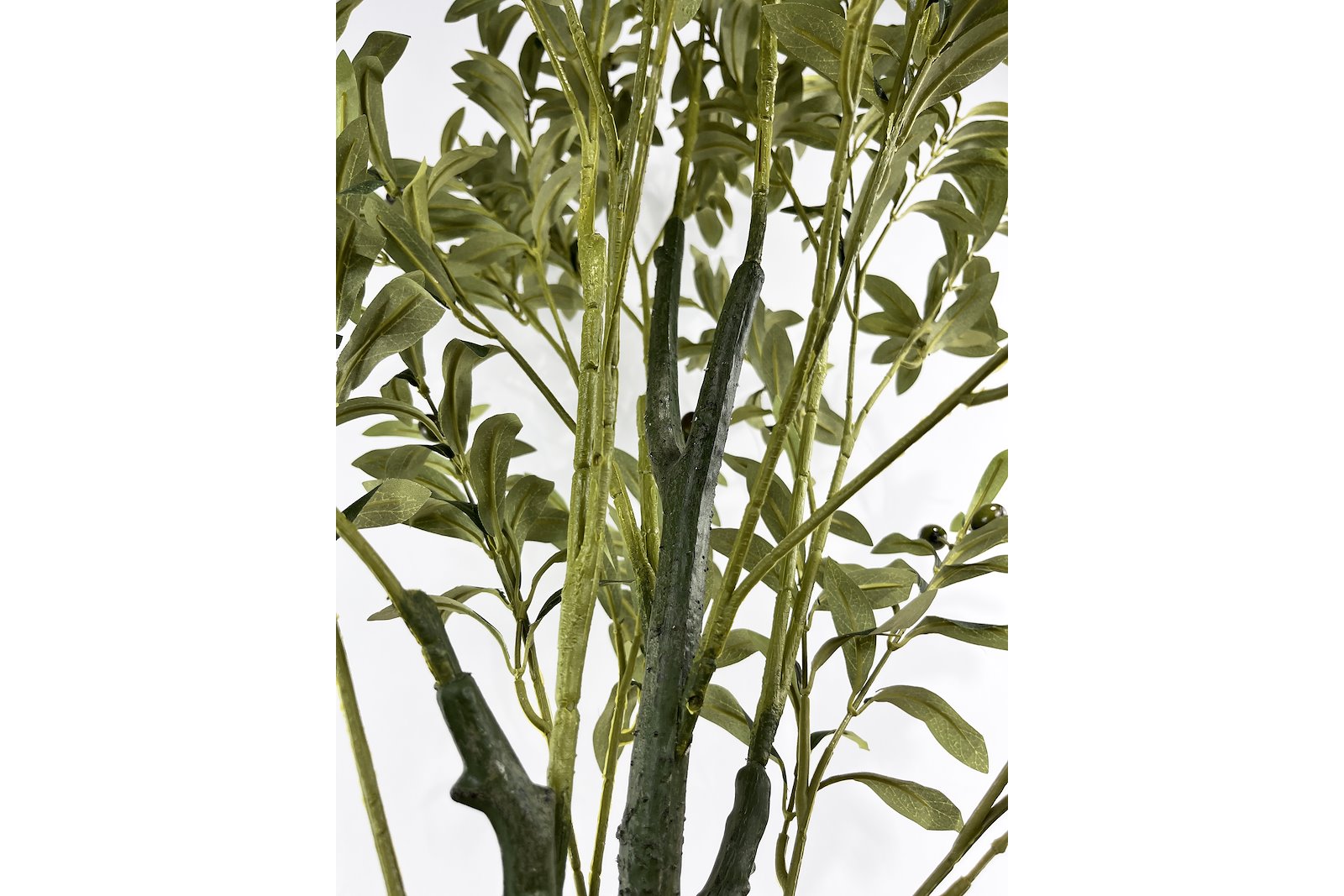 Oliventre potteplante Grønn H160 cm
