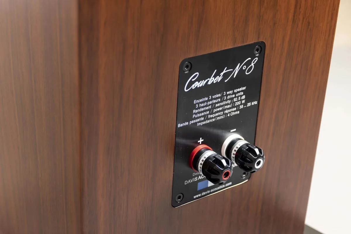 Davis Acoustics Courbet N°8 Noyer (la paire) Enceintes colonne