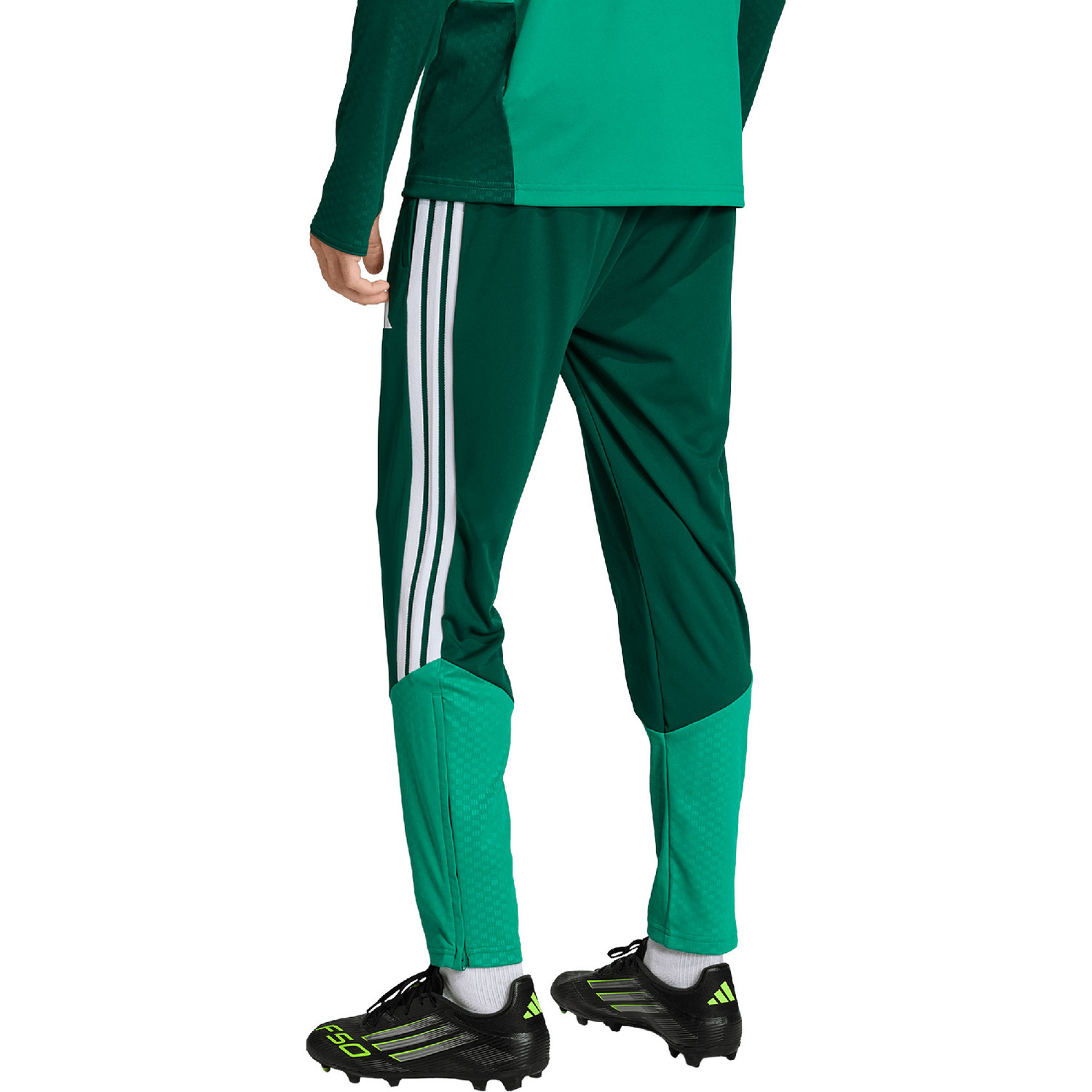 adidas Algerije Training Pant WK 2026