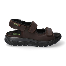 wilfried  GRIZZLY 151  DARK BROWN