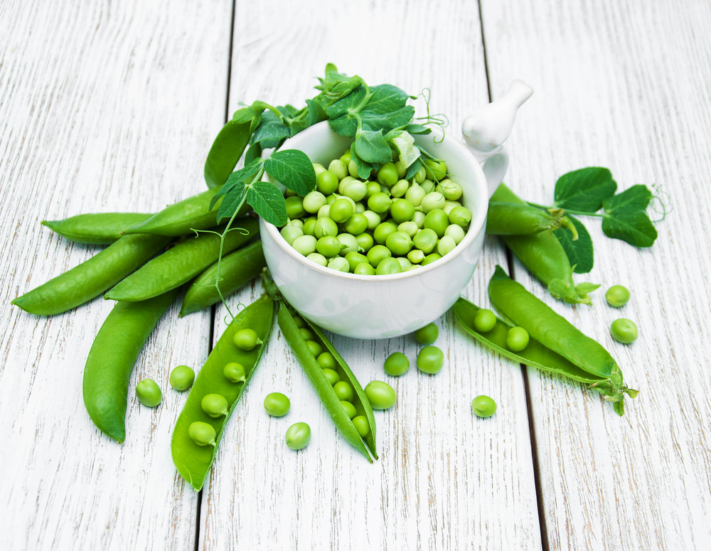 Sachet de graines de pois ( petit pois) merveille de kelvedon - sachet de 200 grammes - petite entreprise française - made in france
