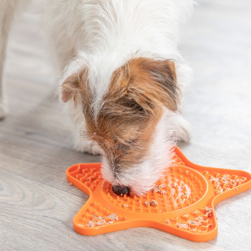 Tapis à lécher Trixie Lick'n'Snack Étoile pour chien et chat