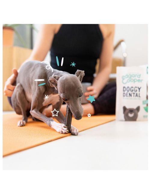 Edgard&Cooper Doggy Dental Appel - Hondensnacks