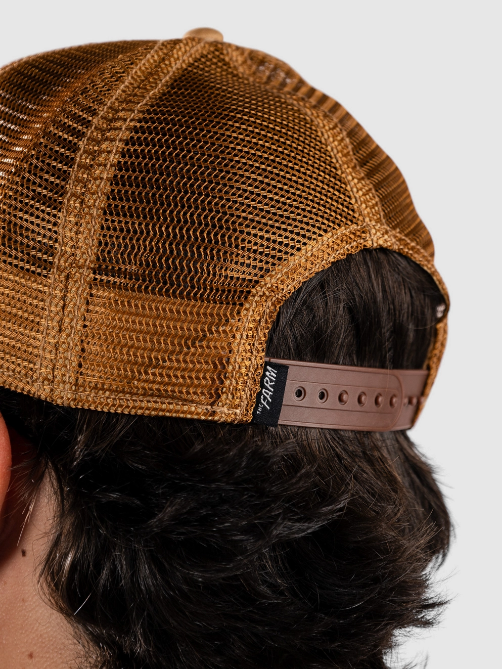 Goorin Bros The King Lion Cap whiskey