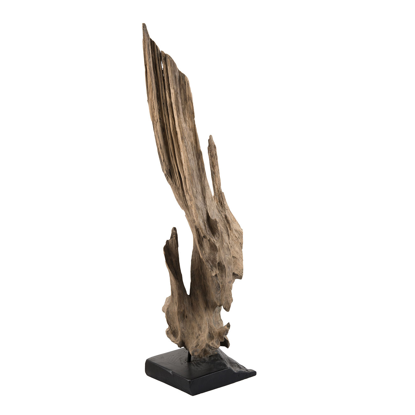 Macabane Sculpture branche M Clara teck - 26x22x106 cm