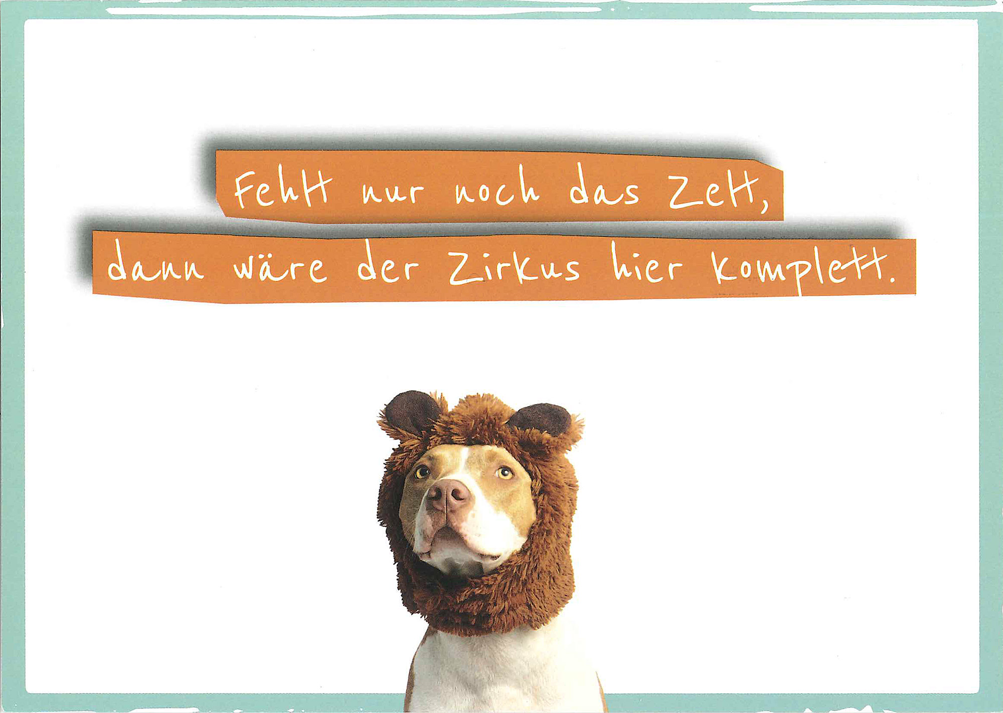 Postkarte 'Fehlt nur noch das Zelt...' günstig bestellen