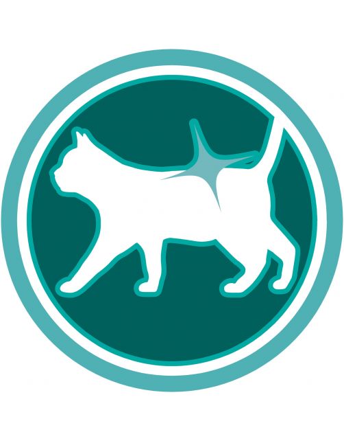 Purina One Adult Kip&Granen - Kattenvoer
