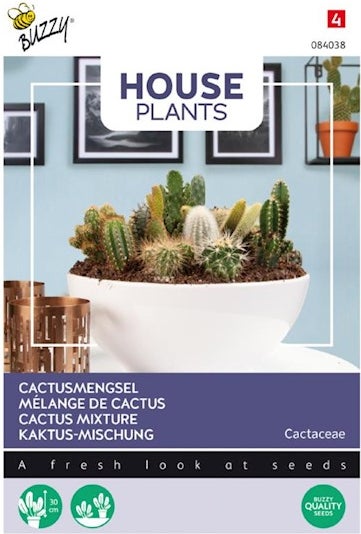 Buzzy House Plants kamerplantenzaad Cactus mengsel