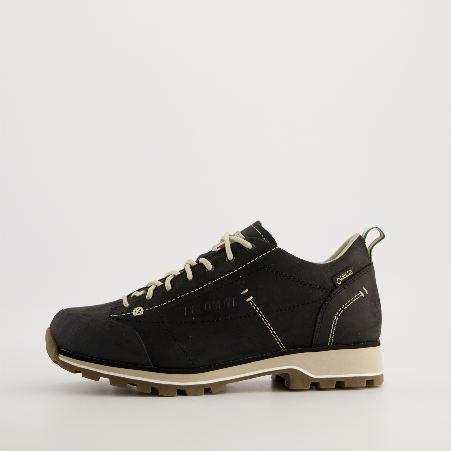 Dolomite DOL Shoe Ws 54 LOW FG GTX