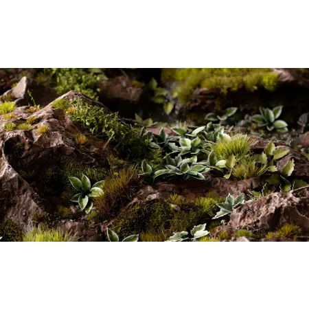 Gamer Grass Basis Gestaltung Pflanzen Plantain Lily, 57er Packung