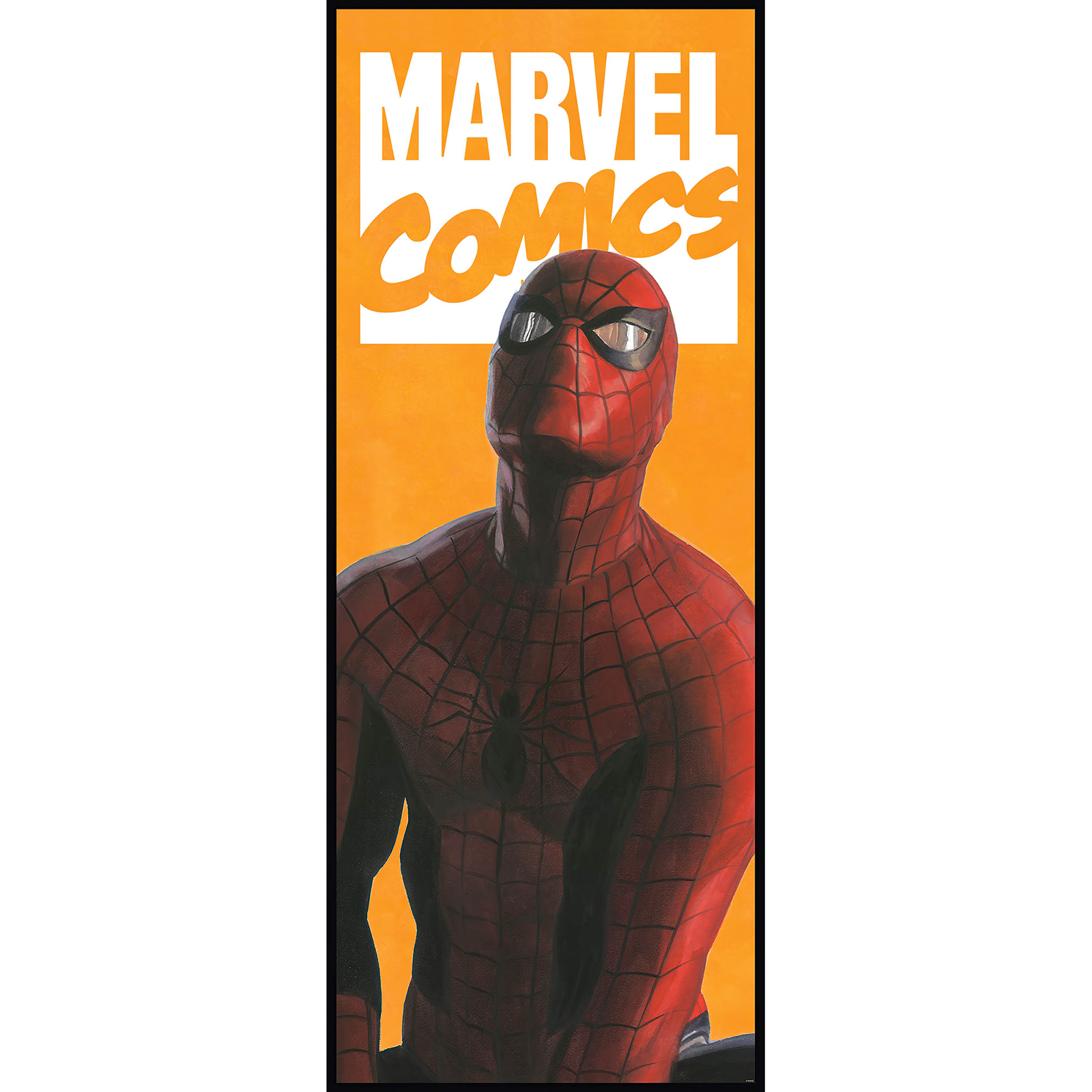 Vlies-Fototapete SPIDER-MAN COMIC - 100x250 cm
