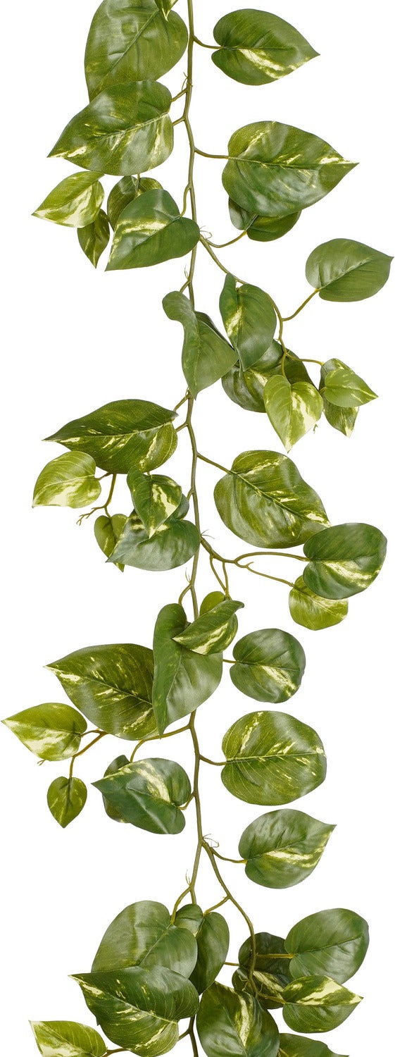 Mica Decorations kunsthangplant Drakenklimop 180 x 12 x 5 cm