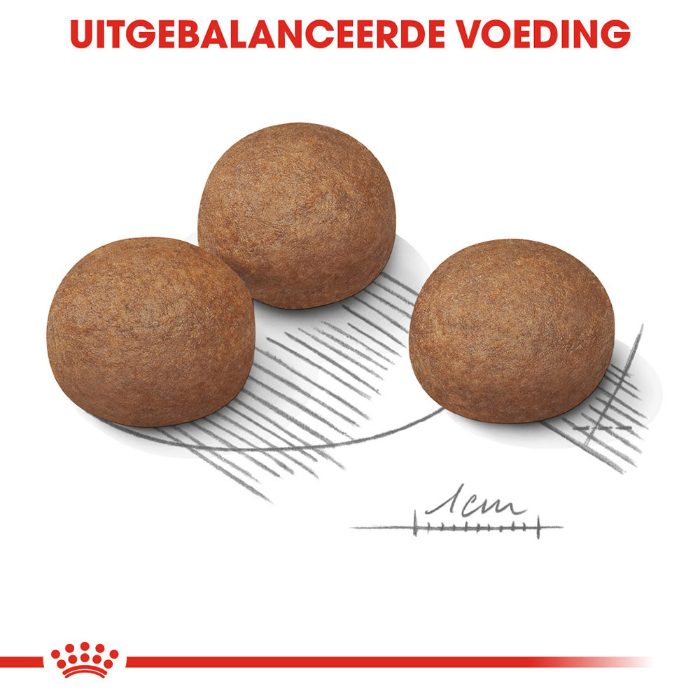 Royal Canin Maxi Digestive Care - Hondenvoer