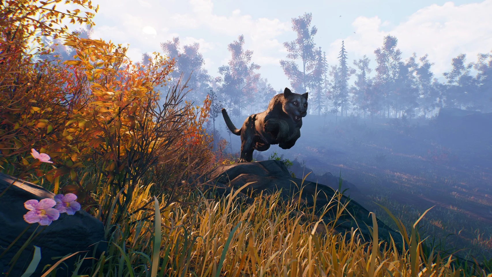 Open Country- PC
